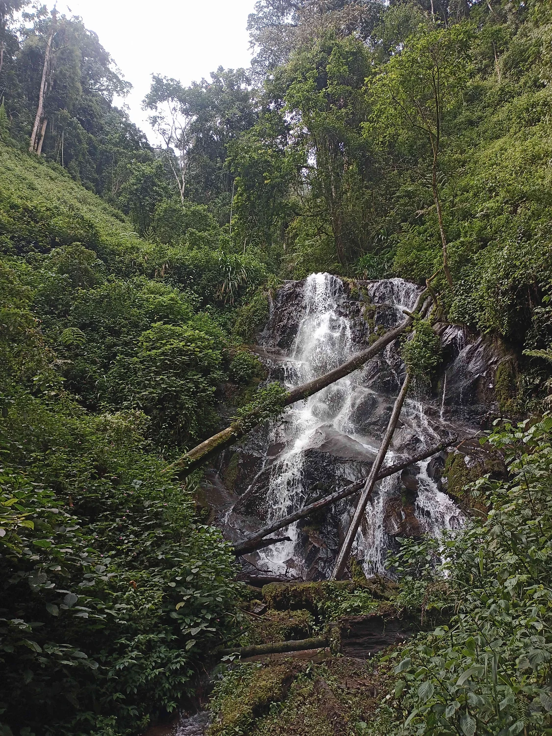 Nyungwe Rainforest Adventure